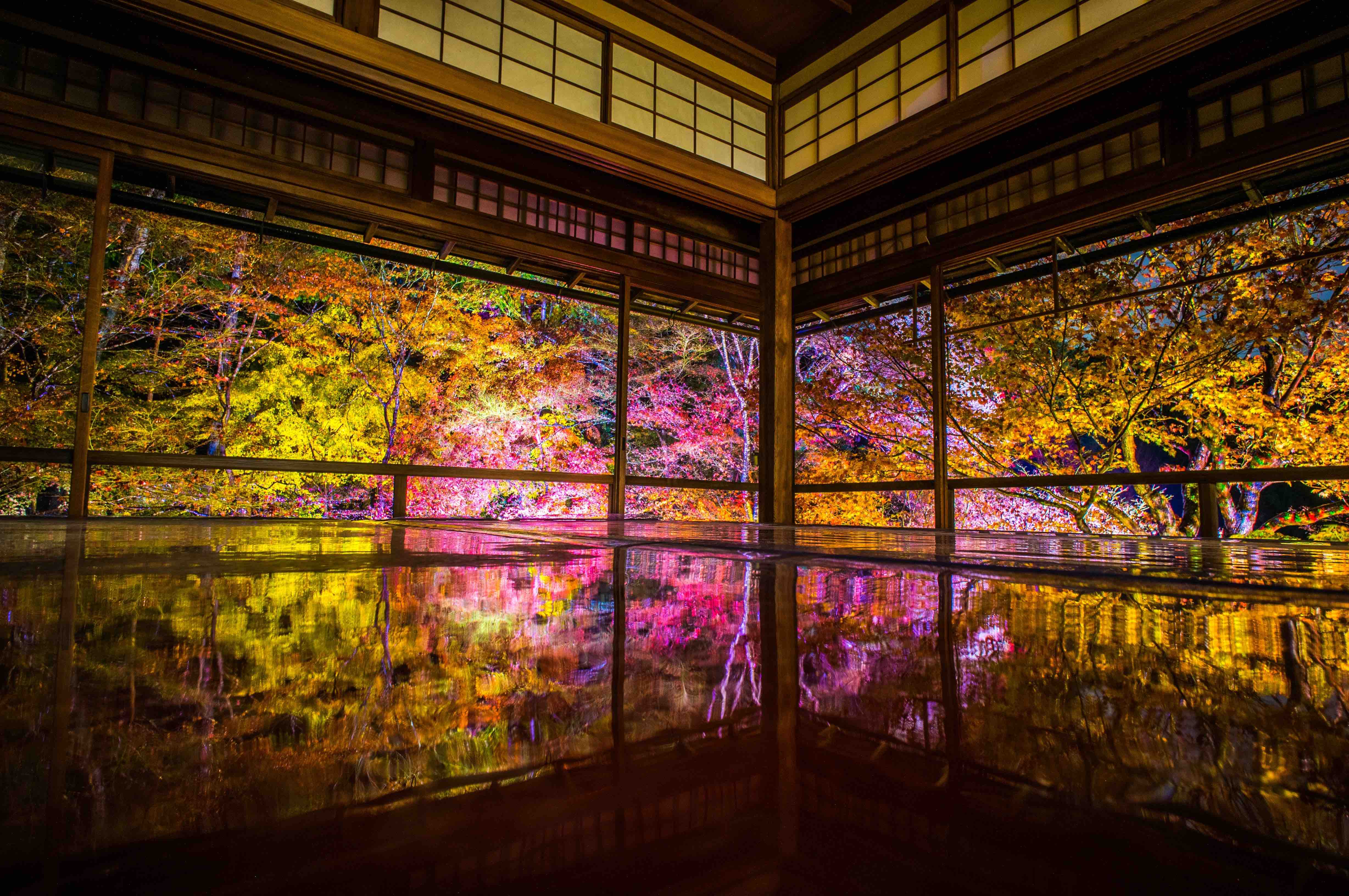 京都,瑠璃光院